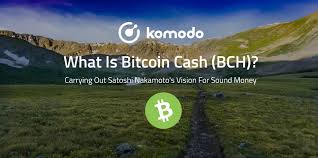 It's important to educate yourself thoroughly before using bch for privacy purposes. What Is Bitcoin Cash Bch