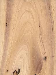 نتیجه جستجوی لغت [hickory] در گوگل