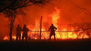Afectan a más de 230 mil hectáreas en nueve provincias según el último reporte difundido por servicio nacional de manejo del fuego (snmf). Arden 150 000 Hectareas En Los Peores Incendios En 20 Anos En El Corazon De Argentina Videos 02 10 2020 Sputnik Mundo