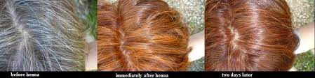 For henna to penetrate and cover the entire hair surface correctly, you must leave it in your hair for 2 to 4 hours. Dying Hair With Henna My Personal Experiences Henna Oasis