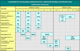 Calendario de vacunación contra el coronavirus por estado. Calendario De Vacunaciones Del Cav Aep 2020 Ya Disponible Asociacion Espanola De Pediatria