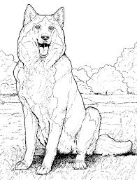 Some of the coloring page names are alaskan husky coloring, dog rubber stamp siberian husky click on the coloring page to open in a new window and print. Husky Coloring Pages Free Printable Coloring Pages For Kids