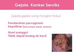 Warna darah haid juga bisa dicurigai. Hubungan Kandidiasis Dengan Kanker Serviks Dalam Paradigma Penelitian Bidang Mikroba Pondok Ilmu