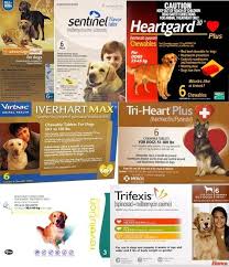 We've ordered revolution online from such places. Monthly Heartworm Parasite Prevention When Choosing A Heartworm Preventative For Your Dog Make Sure You Know Wh Canine Health Dogs Golden Retriever Rescue