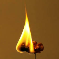 Image result for Combustio