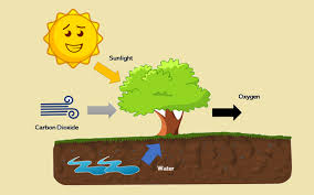 نتیجه جستجوی لغت [oxygen] در گوگل