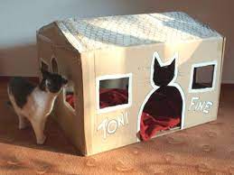 Keren rumah kucing duatingkat dari kardus diy trending topic di. 12 Tempat Tidur Kucing Ini Buktikan Kalau Pemiliknya Kreatif Bikin Dari Barang Bekas Gokil