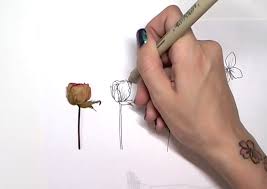 In botanical illustration step by step. Botanical Line Drawing Peggy Dean Skillshare
