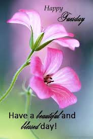 Happy tuesday blessings and good morning tuesday blessings. 38 Good Morning Wishes On Tuesday