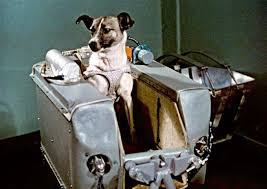 Encore plus perdus dans l'espace, les robinson font équipe pour explorer d'étranges planètes, affronter de nouveaux dangers et retrouver leur cher robot. Laika Le Premier Homme Dans L Espace Etait Une Chienne La Corde Sensible