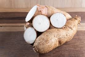 Tapioca is a starchy product from south america that is available in the form of flour, meal, flakes, or pearls. 3 098 Tapioca Root Stock Photos And Images 123rf