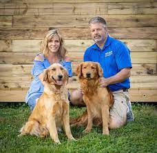 Ut enim ad minim veniam, quis nostrud exercitation ullamco laboris nisi ut aliquip ex ea commodo consequat. Kentucky Dog Fence Kentucky Dog Fence