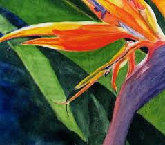 Bird Of Paradise Watercolor Bird Of Paradise Watercolor Painting Flower Print Birthday Etsy Flower Painting Flower Prints Art Watercolor Flowers Paintings