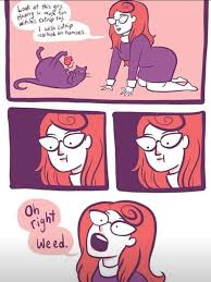 36 Memes That Will Make You Laugh Like Kid Ladnow Funny Images Funny Pictures Funny Relatable Memes