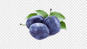 The best damson tree varieties. Prune Fruit Tree Damson Plum Sauce Fruit Plum Png Pngegg