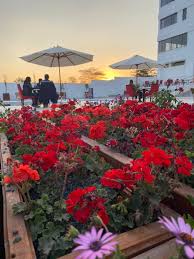 Check spelling or type a new query. Dr Alfred Mutua On Twitter Sunset At The A L Hotel My Happy Place Tomorrow Welcome For A Day Of Traditional Nyama Choma In An Amazing Environment Located On The