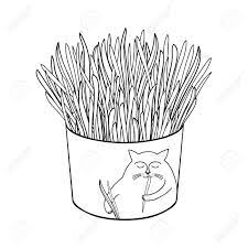 Research ascii art cat faces online. Cat Grass For Domestic Pets In Flowerpot Isolated Royalty Free Cliparts Vectors And Stock Illustration Image 122679317