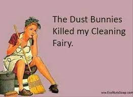 Spring cleaning is such a love/hate activity, and while most of the quotes here come from the haters, i know that you can still love your clean home while appreciating the endless humor below. Pin On Quotes