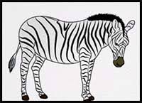 How to draw a cartoon zebra? How To Draw Cartoon Zebras Realistic Zebras Drawing Tutorials Drawing How To Draw Zebras Drawing Lessons Step By Step Techniques For Cartoons Illustrations