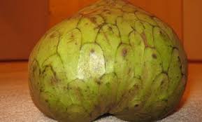 Cherimoya Grown Worldwide And Resembling A Misshapen Artichoke The Cherimoya Actually Has A Swee Cherimoya Apple Tree From Seed Healthy Fruits And Vegetables