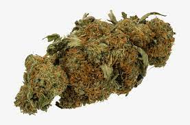 Weed Nug Png Transparent Marijuana Nug Png Png Image Transparent Png Free Download On Seekpng