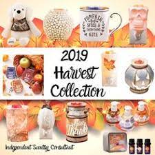 Over the last few years scentsy has released scentsy harvest collection 2018 there is so much to love about fall. 880 Scentsy Harvest Collection Ideas In 2021 Scentsy Harvest Electric Candle Warmers