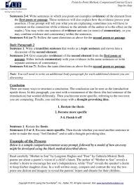 Essay Example Writing Comparison Compare Contrast How To Write Poem Examples Of Clamplightsa
