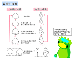 Lab BRAINS - アズワン