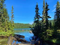 The best state park campgrounds in each state. How To Visit Mowich Lake At Mt Rainer Winter And Summer Ordinary Adventures