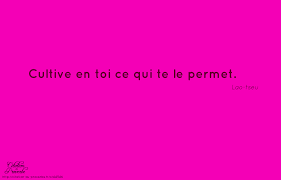 Et Si Je Vous Dis Introspection Citation Du Lundi La Bibliotheque Qui Ne Brule Pas
