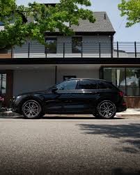 Image result for Mythos Black 2024 Q5