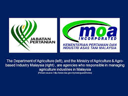 Department of agriculture malaysia (doa), or jabatan pertanian malaysia. Started 1950s Modern Agriculture Systems Developed With Two Goals To Obtain Highest Yields High Quality And Quantity To Get The Highest Economic Ppt Download