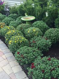 Welcome to christmas at turtle creek lane! Turtle Creek Nursery And Landscaping Fall