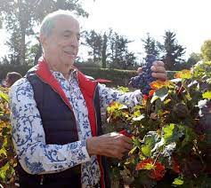 José manuel rodrigues berardo comih • gcih (funchal, santa luzia, 4 de julho de 1944), habitualmente conhecido como joe berardo, é um empresário e conhecido coleccionador de arte português. Joe Berardo Revela Segredo De Infancia O Que O Pai Lhe Fez Para Ele Gostar De Vinho Nacional Flash