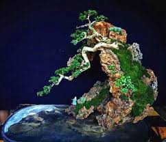 Seni Bonsai Batang Kendal Pekalongan Pemalang Dan Sekitarnya Facebook
