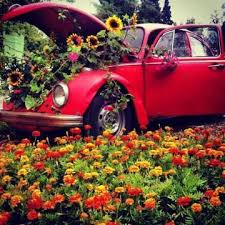 Jun 25, 2021 · u.s. Https Scontent Ams3 1 Xx Fbcdn Net Hphotos Xpa1 V T34 0 12 11830247 1168305099852635 373615973 N J Dreamies De