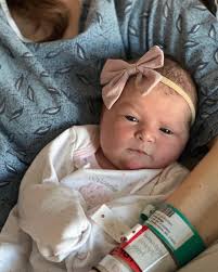 Rustic Meadows Floral and Things