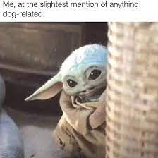 What Are You Talkin About Follow Super Galexy Doge Dog Dogsofinstagram Dogs Dogs Yoda Funny Yoda Meme Star Wars Memes