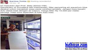 Pelet adalah pakan untuk ikan yang sudah sangat populer di masyarakat. Saran Profesor Filter Aquarium Dan Air Kapur Bisa Saring Asap Masuk Rumah