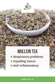 Mullein Tea Mullein Tea Natural Cures Herbalism