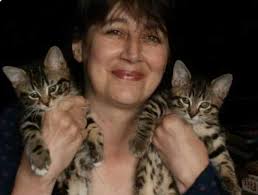 Hereford Karl's Taxis