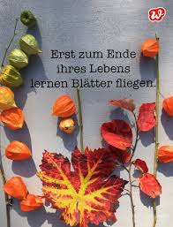 Tschuss Sommer Hallo Herbst Www Wunderle Com