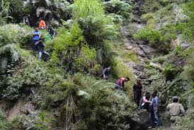 We did not find results for: Inspeksi Pipa Penyaluran Mata Air Pdam Lawu Tirta Magetan Siap Puaskan Pelanggan Pewarta Madiun