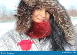 121 Rose Standing Snow Stock Photos