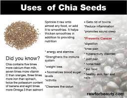 Chia seeds are known as chia bijj(চিয়া বীজ)in bangla. Terapi Islam Al Bayt Tib Kebaikan Chia Seed