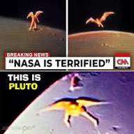 🧿 TERRIFYING DISCOVERY!! James Webb Telescope Captures BIZARRE Winged Alien Figure Soaring Through Deep Space — Elon Musk Sends Chills Worldwide with Dire Warning: “They are NOT hiding anymore… and soon, they'll