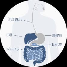 Pancreatic cancer affected an estimated 57,600 people in 2020, making up 3.2% of the total new cancer cases. Pancreatic Cancer Get Checked Early