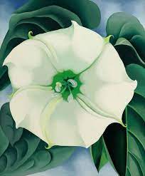 I used light green and violet on medium grey paper. Jimson Weed White Flower No 1 1932 By Georgia O Keeffe