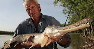 Subscribe for more river monsters™: 8 River Monsters That Will Keep You Out Of Water For The Rest Of Your Life