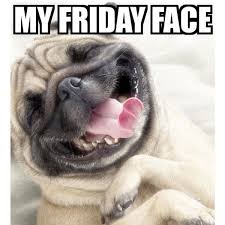 Quick Clean Car Wash On Twitter Happy Friday Dog Meme Carwash Petcare Dogs Friday Fridayfeeling Happyfriday Dogmeme Logicalfmcg Browse a wide range of dog images and find high quality and professional pictures you can use for free. quick clean car wash on twitter happy